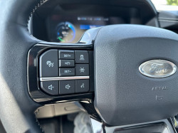 Ford F 150 Lightning netto € 79900